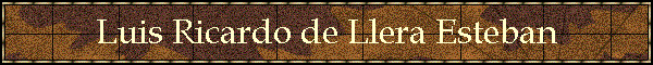 Luis Ricardo de Llera Esteban